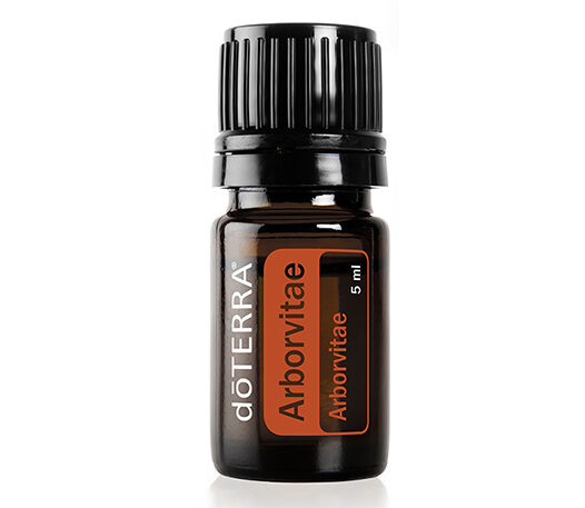 Arborvitae dōTERRA